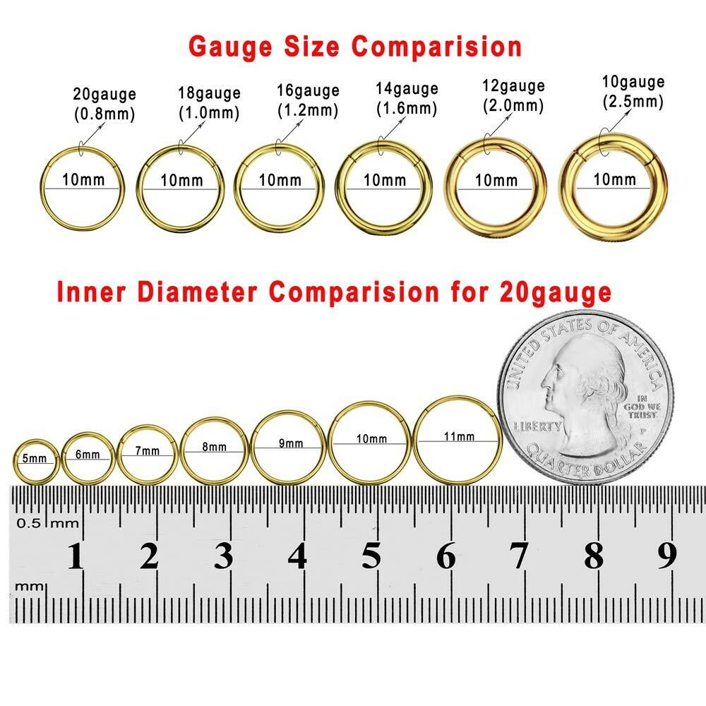 FANSING 16g 6mm Nose Hoop 16 Gauge Hinged Seamless Piercing Jewelry Ring for