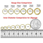 FANSING 16g 6mm Nose Hoop 16 Gauge Hinged Seamless Piercing Jewelry Ring for
