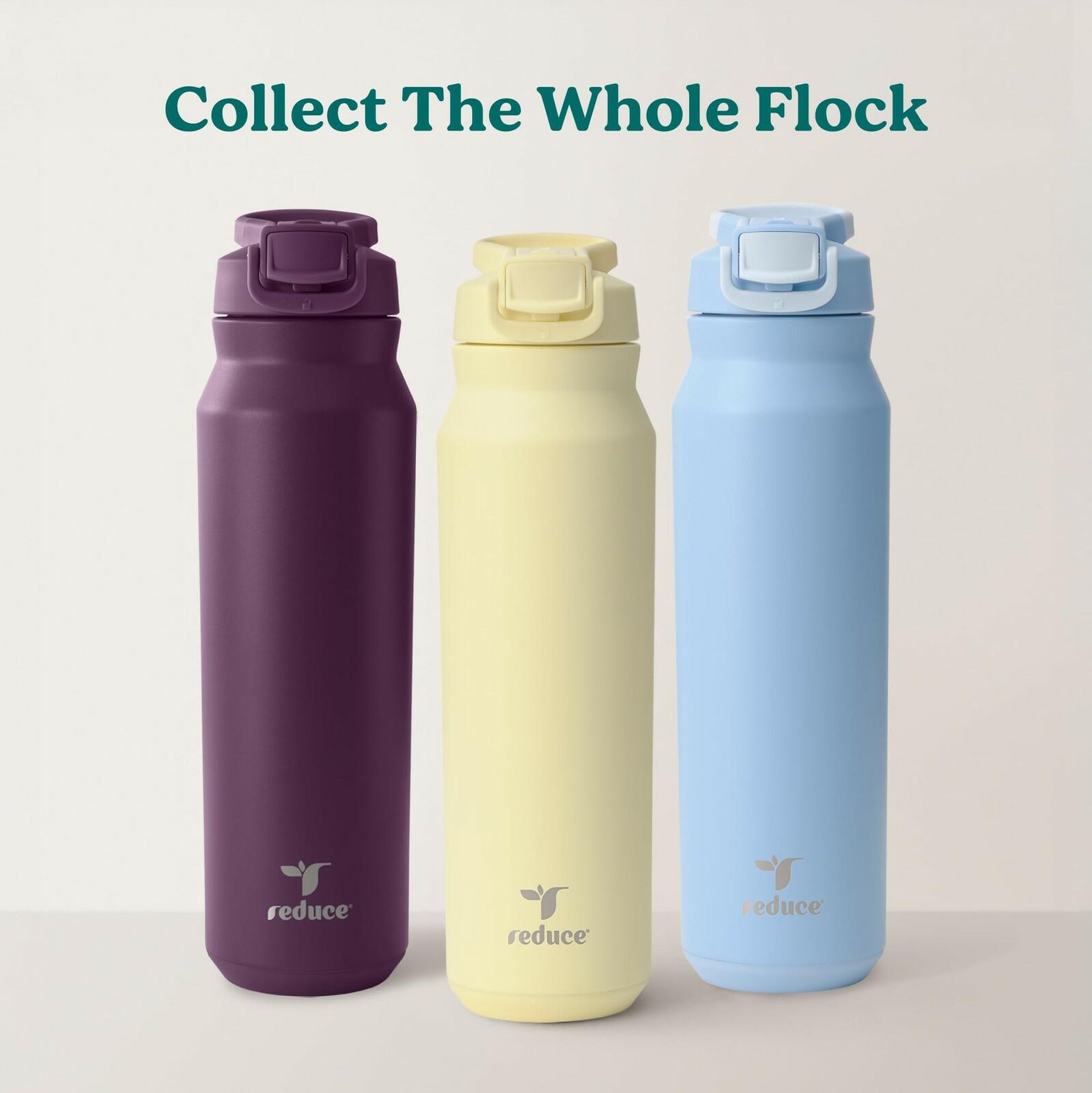 REDUCE 32 oz Hydrate Pro Stainless Steel Insulated Water Bottle - Flip Top
