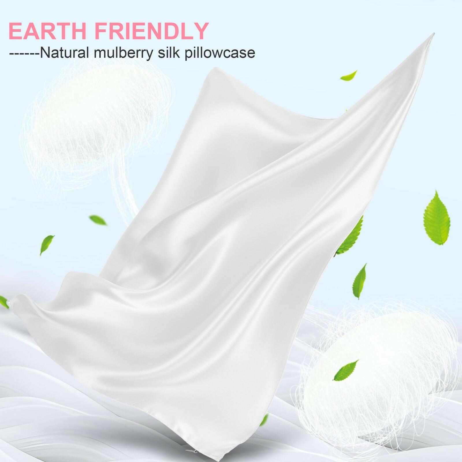 Mulberry Silk Pillow Cases 2 Pack Queen Size 20x30 Inches with Hidden Zipper,