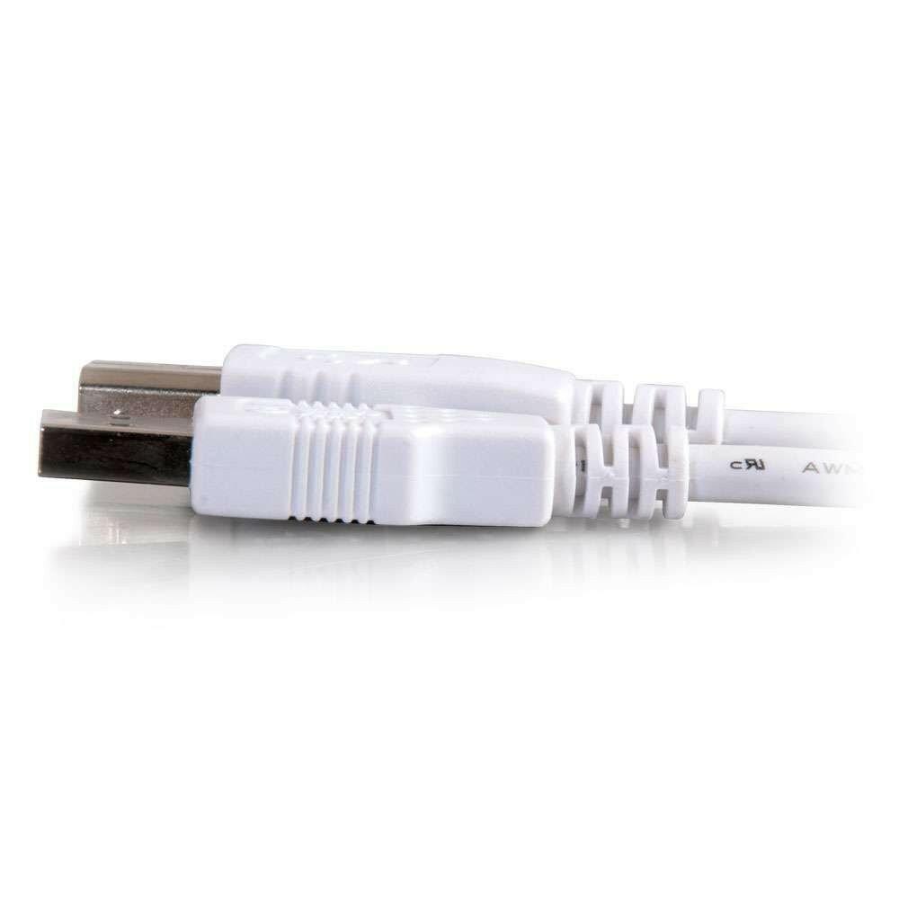 Cables To Go 13401 USB 2.0 A Male to B Male Cable 15 Feet White