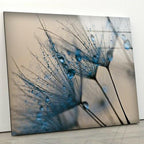 Myphotostation Dandelion Flowers Tempered Glass Wall Art 16x16'' Floral Modern