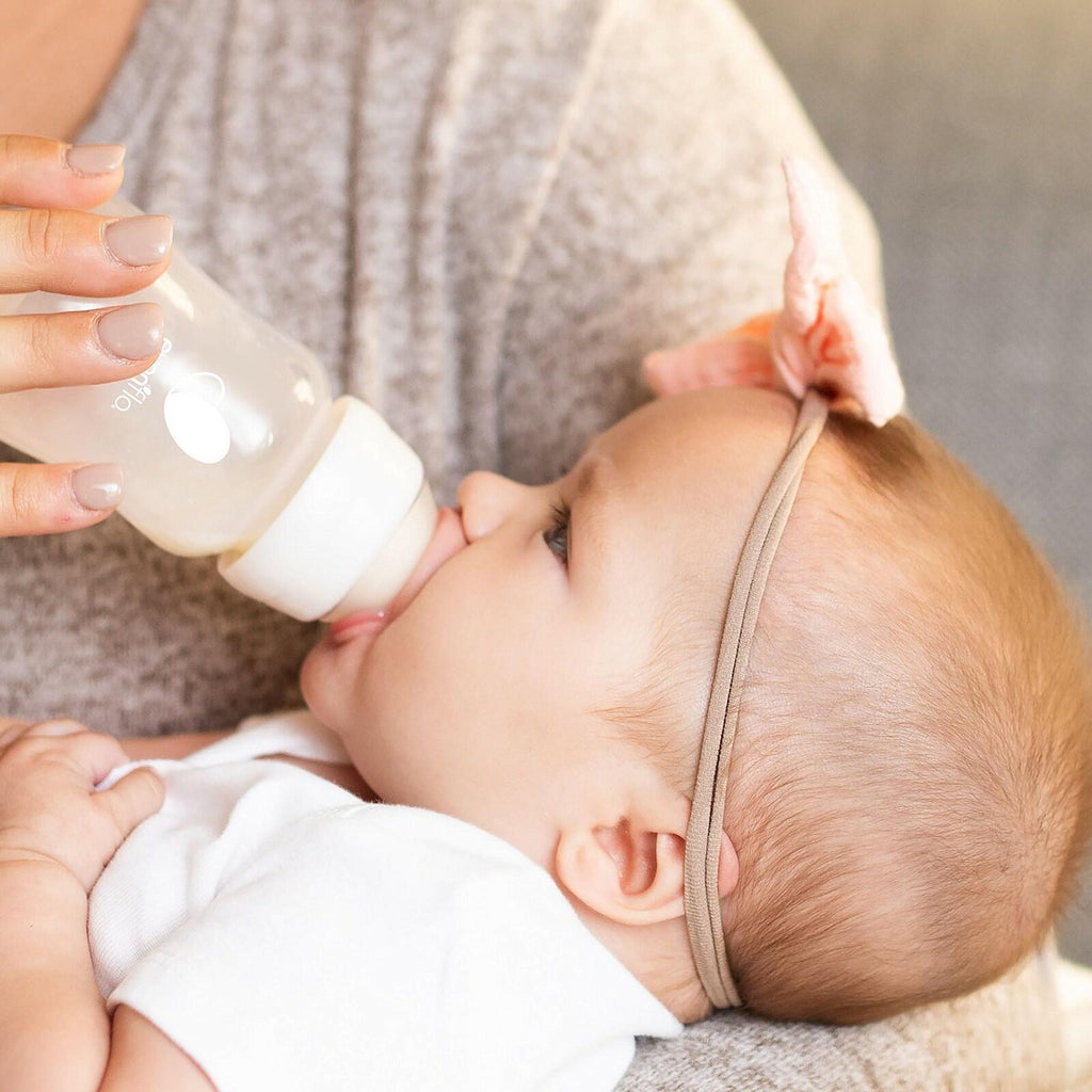 Case of 6 Evenflo Feeding Premium Proflo Venting Balance Plus Standard Neck