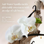 Saltair Body Lotion - 2 Pack Moisturizing Lotion For Dry Skin. Salt Water