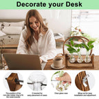 YIBOT Propagation Stations,Plant Terrarium with Retro Wooden Stand, Unique