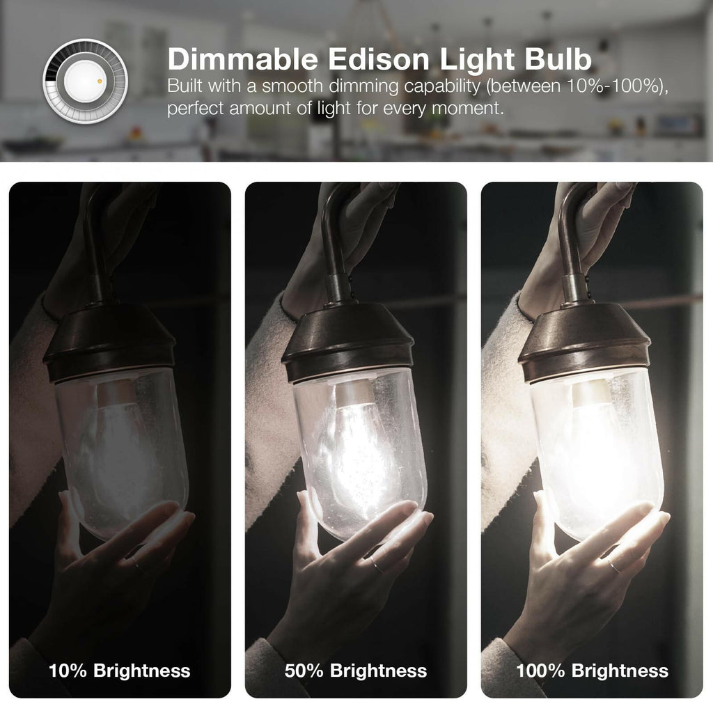 DAYBETTER 4 Pack Vintage LED Edison Bulbs, E26 Led Bulb 60W Equivalent, Dimmable