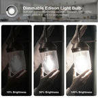 DAYBETTER 4 Pack Vintage LED Edison Bulbs, E26 Led Bulb 60W Equivalent, Dimmable