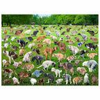 OPEN BOX - Funwares Original 101 Puppies Puzzle – 500-Piece Hilarious Dog Jigsaw