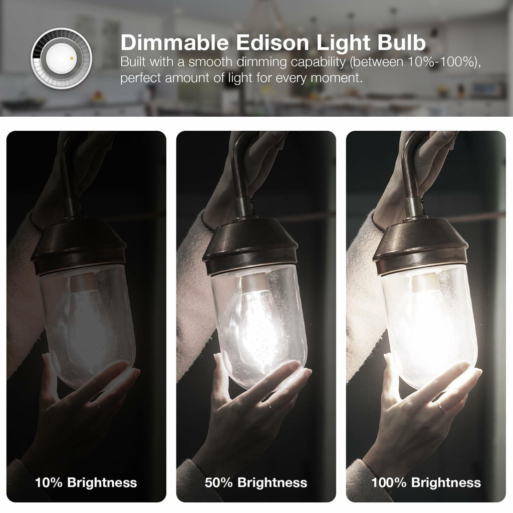 DAYBETTER 4 Pack Vintage LED Edison Bulbs, E26 Led Bulb 60W Equivalent, Dimmable