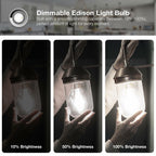 DAYBETTER 4 Pack Vintage LED Edison Bulbs, E26 Led Bulb 60W Equivalent, Dimmable
