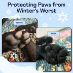 OPEN BOX - Finn Paw Hero Natural Dog Paw Balm | Winter Paw Protection from Snow,
