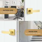 Gaurqiah Gold Passage Door Handles Without Lock and Key 10 Pack，Brushed Gold