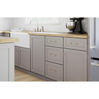 Franklin Brass Francisco Acrylic Bar (5-Pack) Gold Cabinet Handles 3-3/4' Hole