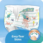34 Count Swim Diapers Size 5 ( 31 Pound) - Pampers Splashers Disposable Swim