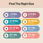 72 Count The Honest Company Comfort Dry Disposable Diapers for Sensitive Skin,