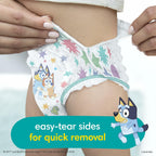 50 Count Pampers Training Pants - Easy Ups Boys & Girls Bluey - Size 2T-3T,