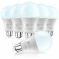 DAYBETTER LED Light Bulbs, A19 5000K Daylight Light Bulbs 100 Watt Equivalent,
