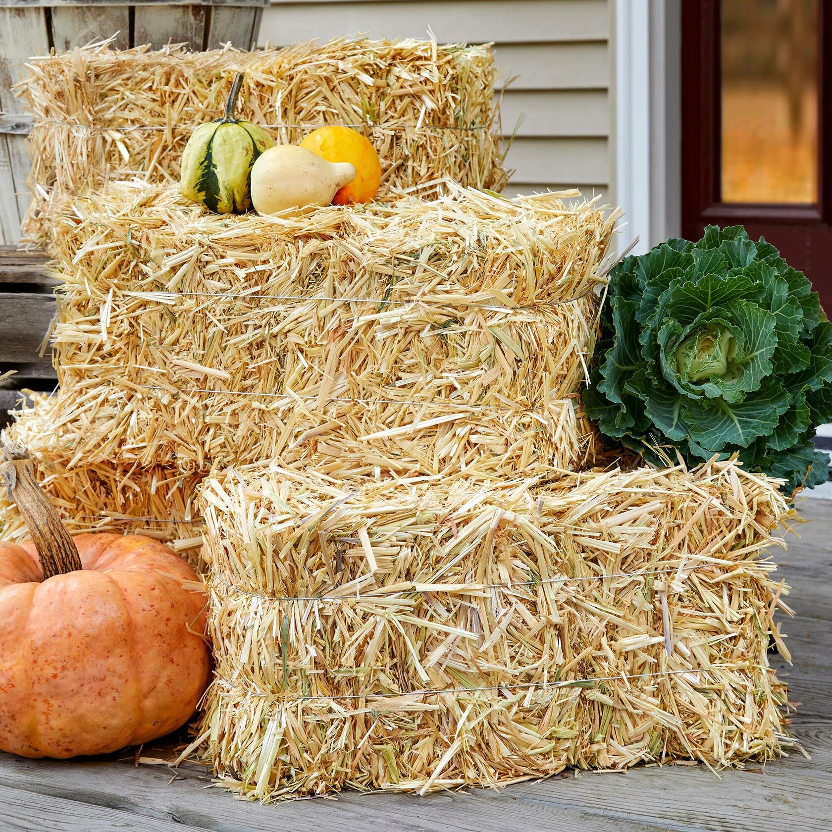 FloraCraft Decorative Straw Bale 8 Inch x 8 Inch x 20 Inch Natural