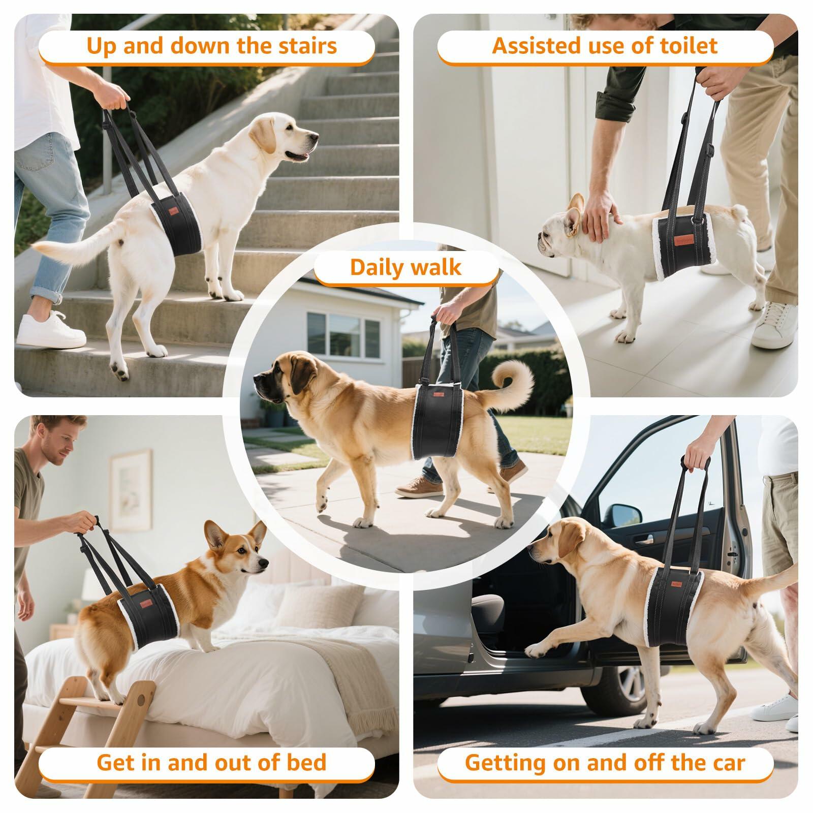OPEN BOX - LOOBANI Portable Dog Sling for Back Legs, Hip Support Harness to Help
