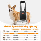 OPEN BOX - LOOBANI Portable Dog Sling for Back Legs, Hip Support Harness to Help