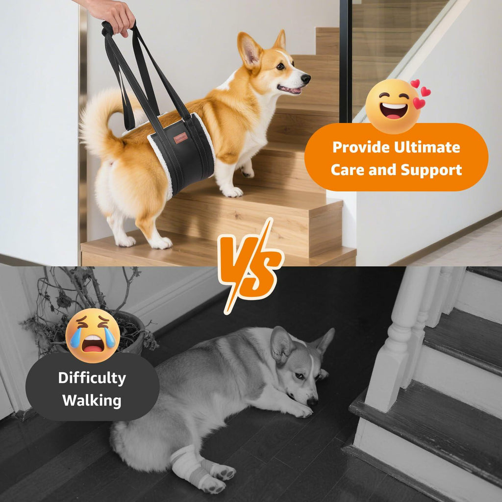 OPEN BOX - LOOBANI Portable Dog Sling for Back Legs, Hip Support Harness to Help