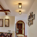 2 Pack Mayful Flush Mount Ceiling Light Fixture with Clear Glass Shade,
