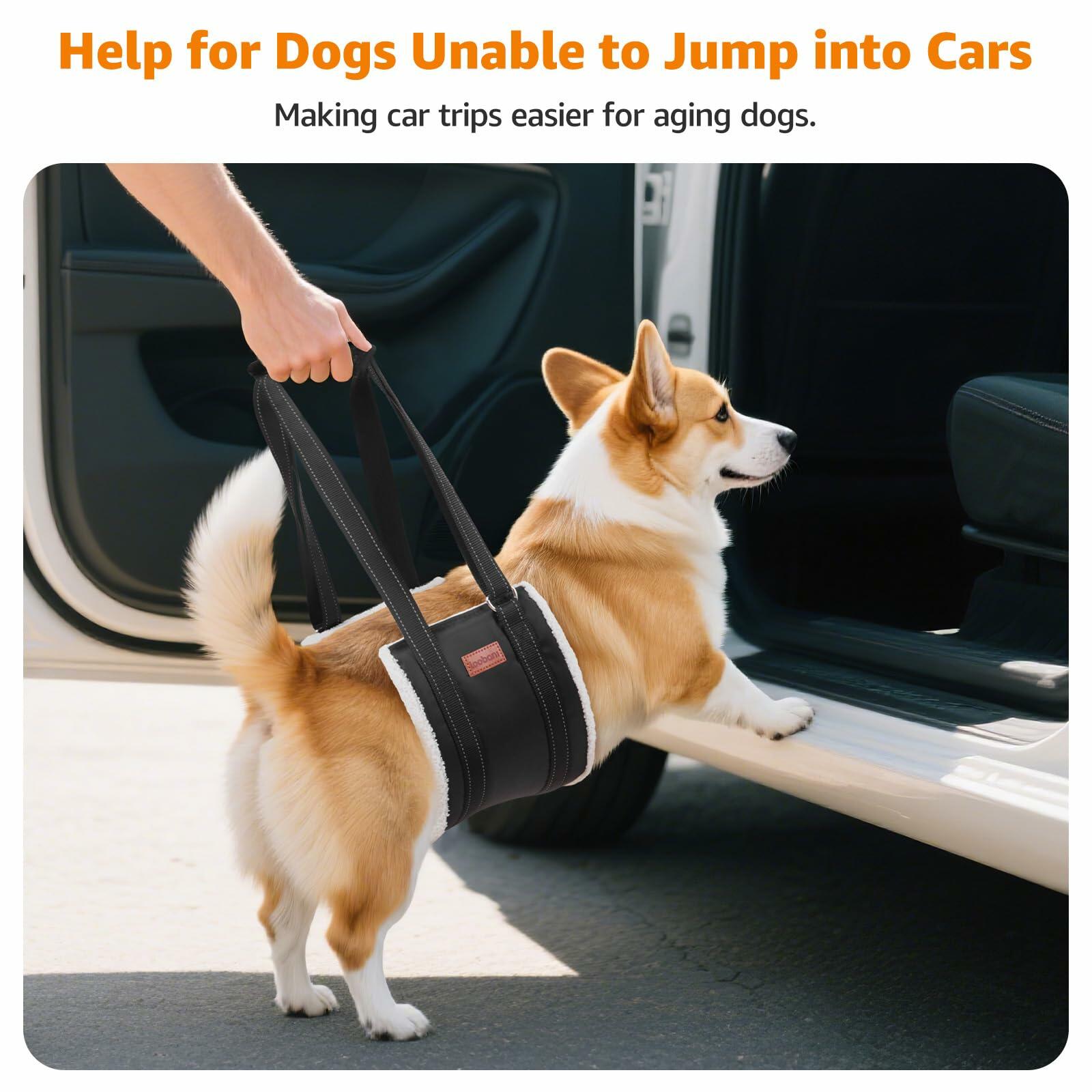OPEN BOX - LOOBANI Portable Dog Sling for Back Legs, Hip Support Harness to Help