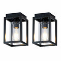 2 Pack Mayful Flush Mount Ceiling Light Fixture with Clear Glass Shade,