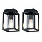2 Pack Mayful Flush Mount Ceiling Light Fixture with Clear Glass Shade,