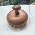 sanlusan Wooden Scalp Massager｜Bamboo Brush for Hair Growth｜Wooden Hair