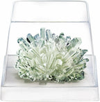4M Deluxe Crystal Growing Combo Steam Science Kit from STEAM Powered Kids, For