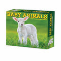 Baby Animals 2026 Box Calendar