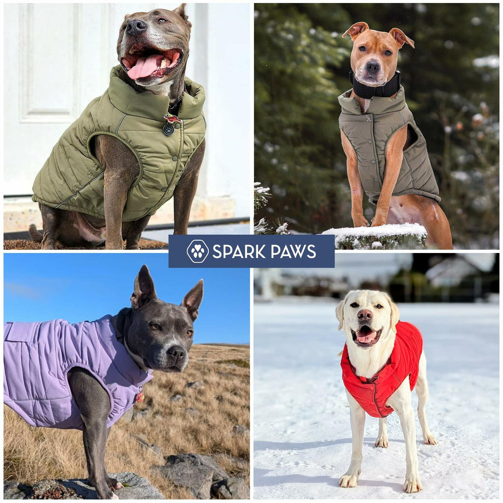 Spark Paws Dog Winter Jacket, Water-Resistant Coat, Warm Reflective Windproof