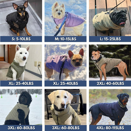 Spark Paws Dog Winter Jacket, Water-Resistant Coat, Warm Reflective Windproof