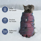 Spark Paws Dog Winter Jacket, Water-Resistant Coat, Warm Reflective Windproof