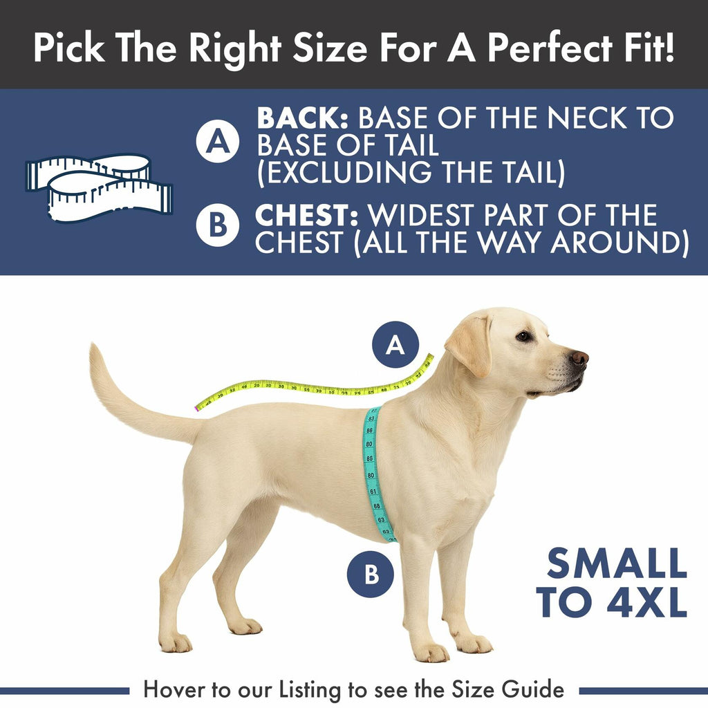 Spark Paws Dog Winter Jacket, Water-Resistant Coat, Warm Reflective Windproof
