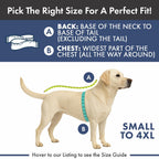 Spark Paws Dog Winter Jacket, Water-Resistant Coat, Warm Reflective Windproof