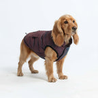 Spark Paws Dog Winter Jacket, Water-Resistant Coat, Warm Reflective Windproof