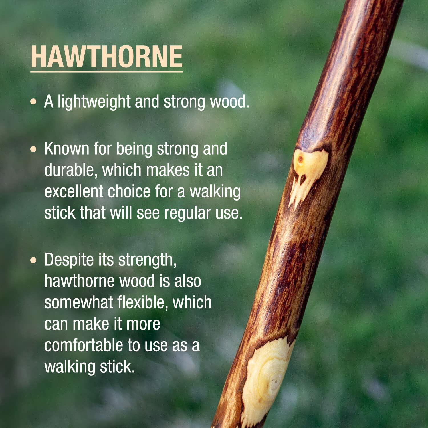 Brazos Rustic Wood Walking Stick, Hawthorn, Traditional Style Handle, for Men &