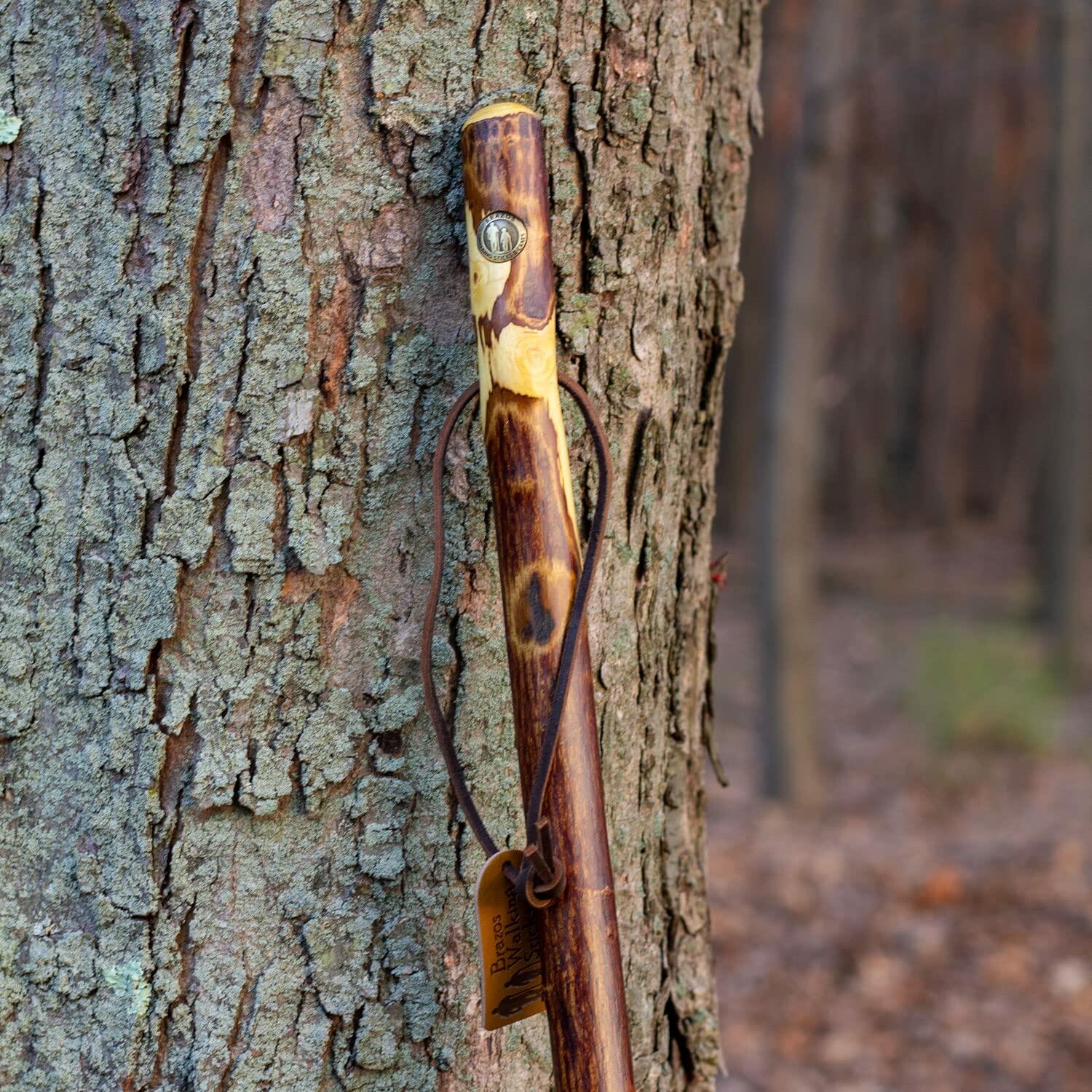 Brazos Rustic Wood Walking Stick, Hawthorn, Traditional Style Handle, for Men &