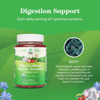 60 Count USDA Organic Kids Probiotic Gummies - Gut Bacteria Probiotics for
