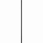 Ekena Millwork Lifetime Vinyl 12"W x 31"H, Black Standard Two Equal Panel