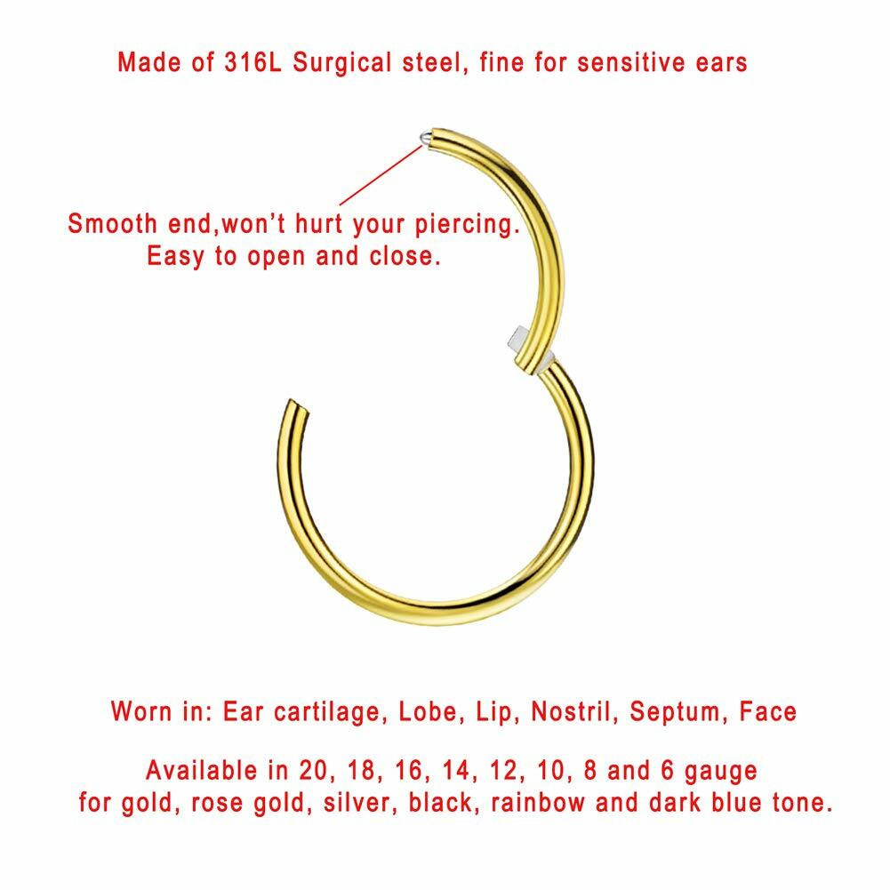 FANSING 16g 6mm Nose Hoop 16 Gauge Hinged Seamless Piercing Jewelry Ring for