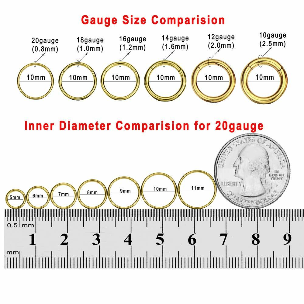 FANSING 16g 6mm Nose Hoop 16 Gauge Hinged Seamless Piercing Jewelry Ring for