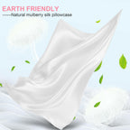 Mulberry Silk Pillow Cases 2 Pack Queen Size 20x30 Inches with Hidden Zipper,