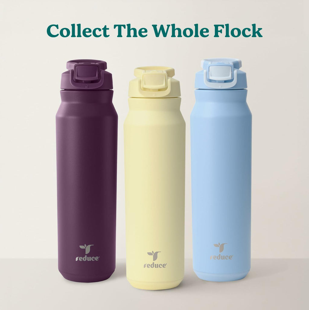 REDUCE 32 oz Hydrate Pro Stainless Steel Insulated Water Bottle - Flip Top