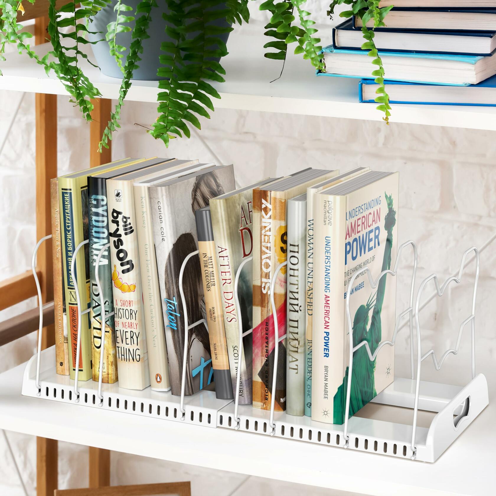 Simple Houseware Expandable Pan Organizer Rack, 10 Adjustable Compartments,