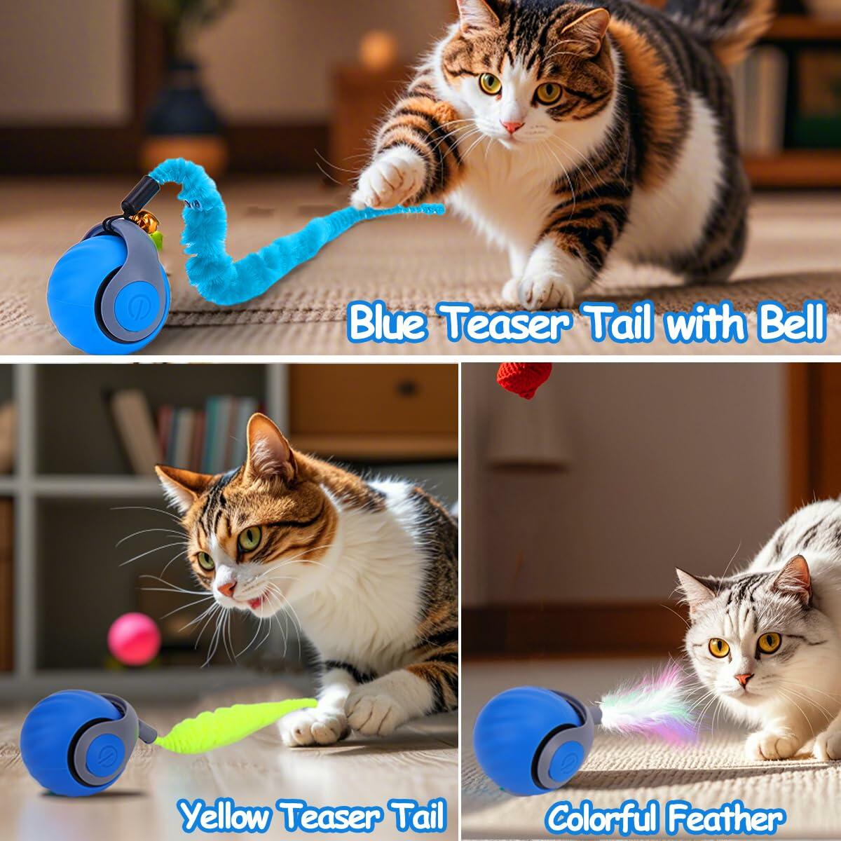 Interactive Cat Toy Ball - Speedy Cat Toys for Indoor Cats with Feather Tails