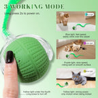 NVTED 2 PCS Interactive Cat Toys for Indoor Cats, Fast Rolling on Carpet Flash