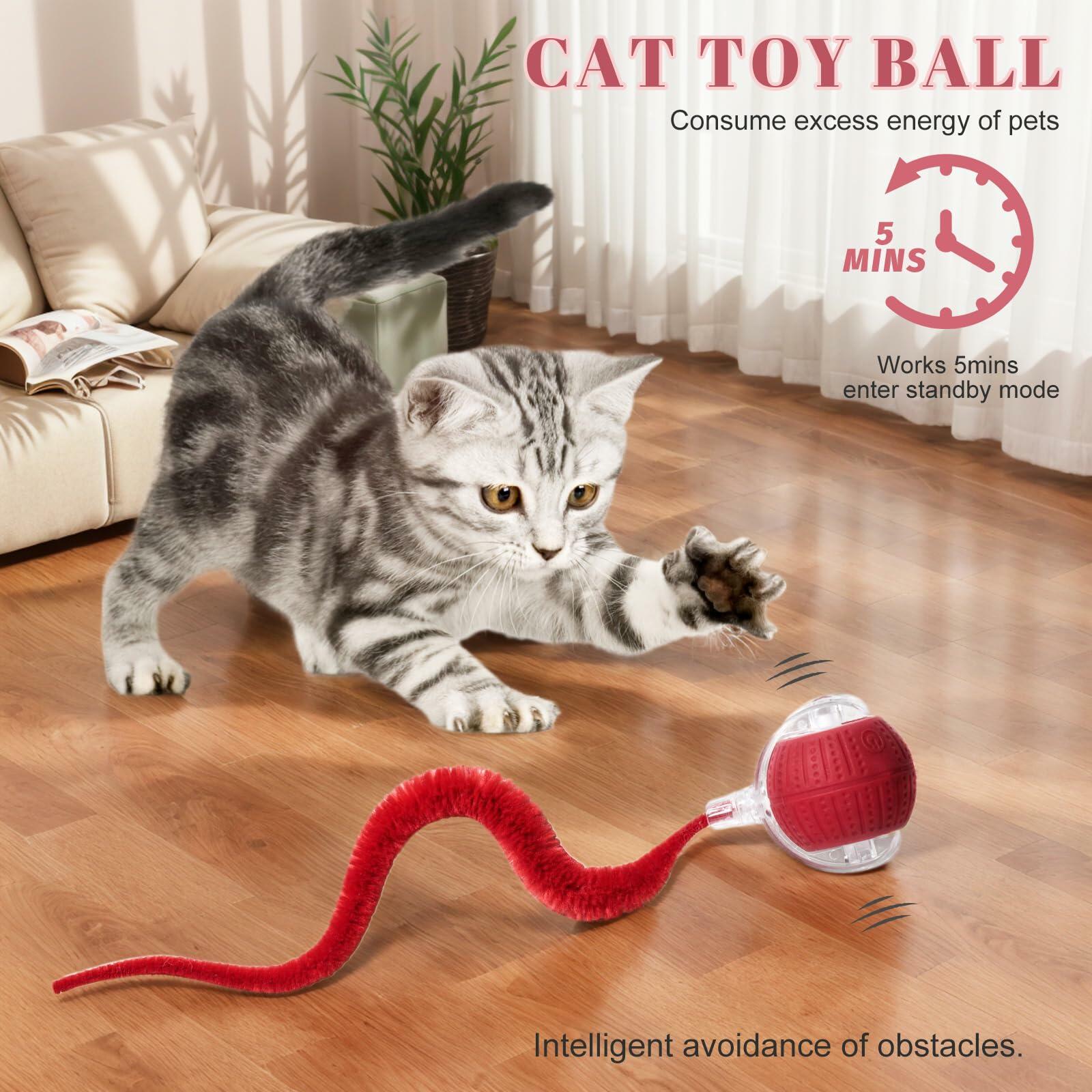 NVTED 2 PCS Interactive Cat Toys for Indoor Cats, Fast Rolling on Carpet Flash
